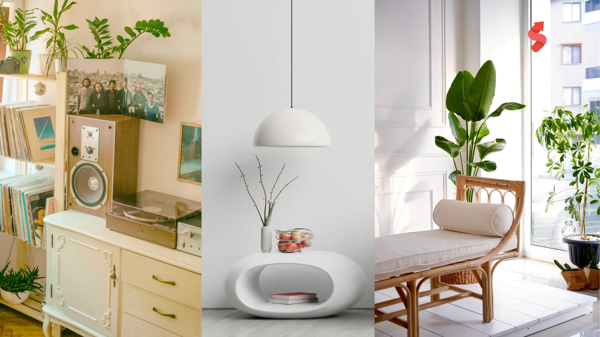 استفاده از گیاهان سبز در طراحی داخلی مدرن 2025