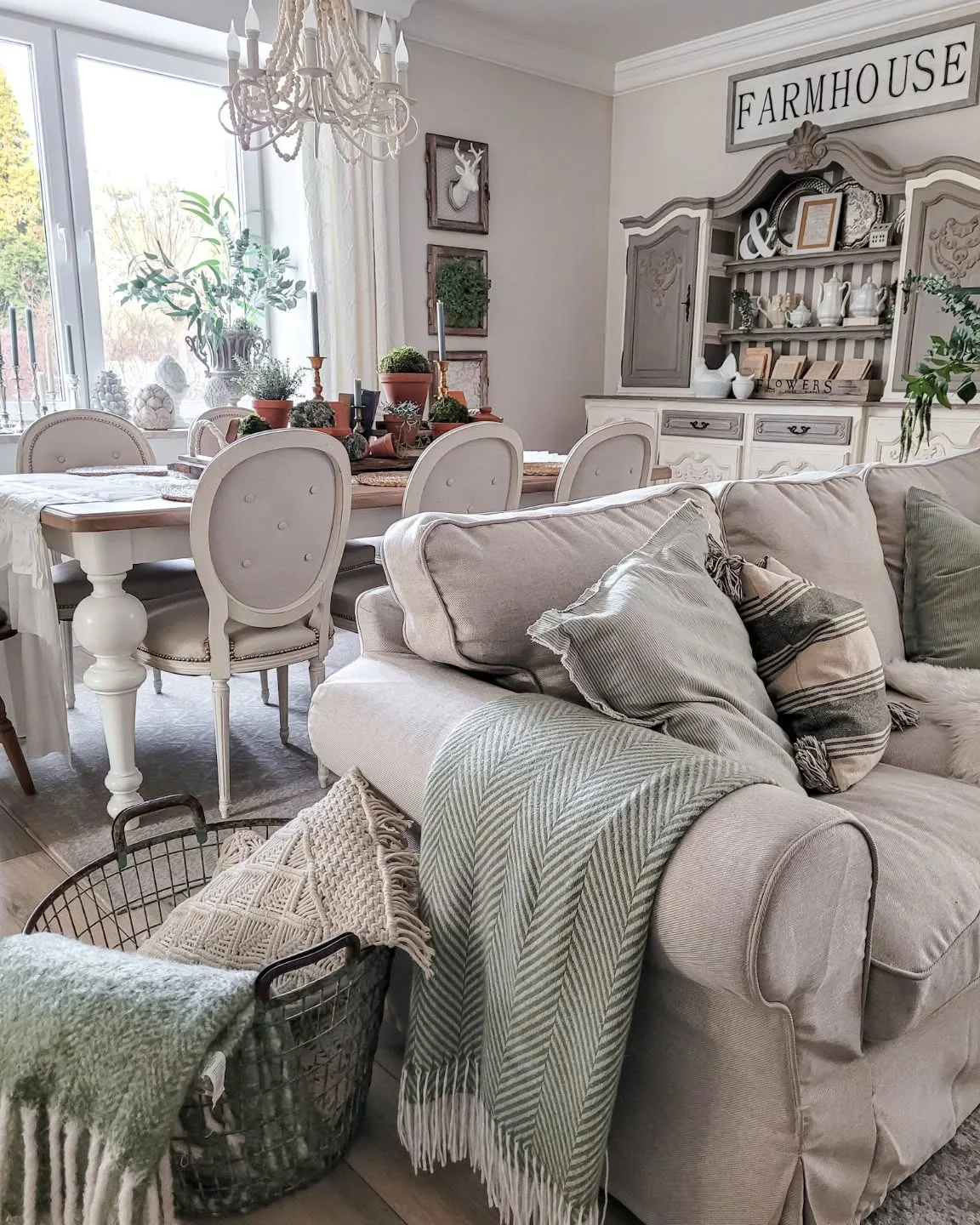 آرامش مزرعه‌ ای با طوسی و کرم